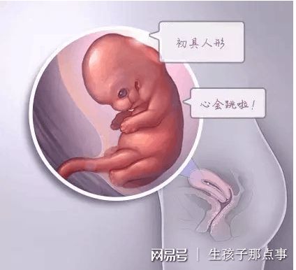 供卵代生咨询服务